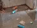 इगतपुरी येथील क्वारांटाईन कक्षात घाणीचे साम्राज्य - Marathi News | The kingdom of dirt in the quarantine room at Igatpuri | Latest nashik News at Lokmat.com