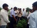 कृषी अधिकारी थेट शेतात... - Marathi News | Agriculture Officer directly in the field ... | Latest jalana News at Lokmat.com