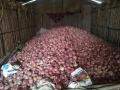 साठवून ठेवलेला कांदा स्वस्तात विकण्याची वेळ - Marathi News | Time to sell stored onions cheaply | Latest nashik News at Lokmat.com
