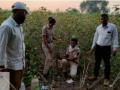 चिनोद्यात आढळलेल्या बिबट्यांना शोधण्यासाठी लागले ट्रॅप कॅमेरे - Marathi News | Trap cameras were set up to search for leopards found in Chinod | Latest nandurbar News at Lokmat.com