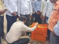 उमराणेत टमाट्याला सर्वोच्च ७५१ रूपये दर - Marathi News | The highest price of Rs | Latest nashik News at Lokmat.com