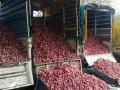 चाळीसगावच्या बाजारात कांद्याचे भाव गडगडले - Marathi News | Onion prices plummeted in Chalisgaon market | Latest jalgaon News at Lokmat.com