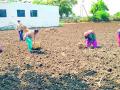 शेतकऱ्यांची लगबग आता पेरणीपूर्व मशागतीसाठी - Marathi News | Farmers are now almost ready for pre-sowing cultivation | Latest vardha News at Lokmat.com