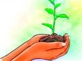 पाच वर्षांत 29,01738 वृक्षरोपांची लागवड - Marathi News | Planting of 29,01738 saplings in five years | Latest vardha News at Lokmat.com