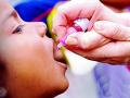 १.१६ लाख बालकांना मिळणार पोलिओची लस - Marathi News | 1.16 lakh children will get polio vaccine | Latest vardha News at Lokmat.com