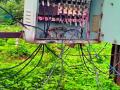 वसुलीचा धडाका, पण वीज चोरीकडे महावितरणचे दुर्लक्ष - Marathi News | The recovery of the recovery, but the electricity theft ignores Mahavitaran | Latest yavatmal News at Lokmat.com