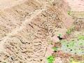 धावंडा नदीच्या काठावरच टाकली माती - Marathi News | Drained soil on the edge of the runaway river | Latest yavatmal News at Lokmat.com