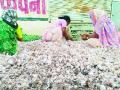 औरंगाबादेत लसूण, बटाटा महाग; मिरची, कांदा स्वस्त - Marathi News | Aurangabad garlic, potato expensive; Chillies, onion cheap | Latest chhatrapati-sambhajinagar News at Lokmat.com