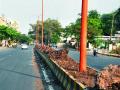मुख्य रस्त्यावरच विक्रेत्यांचे अतिक्र मण - Marathi News |  Vendors' encroachment on main road | Latest nashik News at Lokmat.com