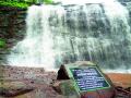 इगतपुरीजवळील अशोका धबधब्याची वाट सुकर - Marathi News | The Asoka Falls Footstep near Igatpuri | Latest nashik News at Lokmat.com