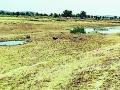 तलाव कोरडे, गावागावात पाण्याची टंचाई - Marathi News | Lakes dry, water scarcity in villages | Latest bhandara News at Lokmat.com