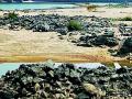 वैनगंगा नदी पात्रातील चमकदार दगडांचे रहस्य काय? - Marathi News | What is the secret of the glowing stones in the Wainganga River basin? | Latest bhandara News at Lokmat.com