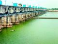 गोसीखुर्दचा जलस्तर वाढविल्याने धान शेतीत शिरले पाणी - Marathi News | Due to increase of water level of Gosikhurd, water entered the paddy field | Latest bhandara News at Lokmat.com