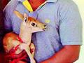 हरणाच्या पिलावर कुत्र्यांचा हल्ला - Marathi News | Dogs attack on piglets | Latest bhandara News at Lokmat.com