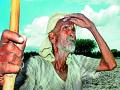 रोहिणीच्या प्रारंभामुळे शेतकऱ्यांना आता पावसाचे वेध - Marathi News | With the onset of Rohini, farmers are now waiting for the rains | Latest chandrapur News at Lokmat.com