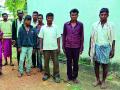अवैध वृक्षतोड आठ जणांना अटक - Marathi News | Eight people arrested for illegal tree plantation | Latest chandrapur News at Lokmat.com