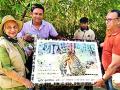 ताडोबातील ‘माया’ने घातली मायानगरीच्या अभिनेत्रीला भुरळ - Marathi News | Tadoba's 'Maya' starrer actress gets enthralled | Latest chandrapur News at Lokmat.com