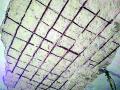 शक्तिशाली ब्लास्टिंगने स्लॅबचे सिलिंग कोसळले - Marathi News | The slab of the slab collapsed with powerful blasting | Latest chandrapur News at Lokmat.com