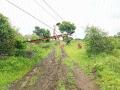 पाळधी शिवारात विजेच्या खांबांनी केला ‘रास्तारोको’ - Marathi News | 'Rastaroko' by electricity poles in Paldhi Shivara | Latest jalgaon News at Lokmat.com