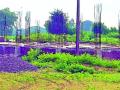 ३३/११ केव्ही वीज उपकेंद्राचे काम संथगतीने - Marathi News | 33/11 KV power sub-center work slow | Latest gadchiroli News at Lokmat.com