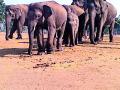 विकासासाठी आसुसली जिल्ह्यातील पर्यटनस्थळे - Marathi News | Tourist places in Asusali district for development | Latest gadchiroli News at Lokmat.com