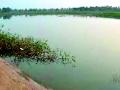 जिल्ह्यातील 327 मामा तलाव गेले चोरीला - Marathi News | 327 Mama lakes in the district were stolen | Latest gondia News at Lokmat.com