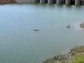 मध्यम प्रकल्प जोत्याखाली - Marathi News | Medium Project waterlevel gone down | Latest jalana News at Lokmat.com