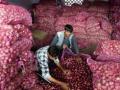 ६००० क्टिंटल कांद्याची आवक - Marathi News | Arrival of 6000 quintals of onion | Latest nashik News at Lokmat.com