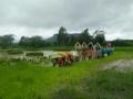 संततधारेमुळे टाकेदला भातलागवडीची लगबग - Marathi News | Due to offspring, Takeda received rice | Latest nashik News at Lokmat.com