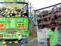 लाकडाची अवैध वाहतूक करणारी दोन वाहने पकडली - Marathi News | Two vehicles carrying illegal logistics of wood caught | Latest vardha News at Lokmat.com