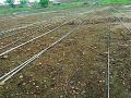 १५० एकरात तारा पडून - Marathi News | Around 150 acres of land | Latest yavatmal News at Lokmat.com