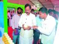 कृषी महोत्सवास नाशिककरांचा प्रतिसाद - Marathi News |  Responding to Nashikkar Krushi Mahotsav | Latest nashik News at Lokmat.com