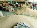 सोयाबीन सात हजारांवर; विकू नका - Marathi News | Soybeans over seven thousand; Don't sell | Latest yavatmal News at Lokmat.com