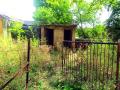 ... हे आहे नागपूर जिल्ह्यातील लघु पशु चिकित्सालय - Marathi News | This is the small animal hospital in Nagpur district | Latest nagpur News at Lokmat.com
