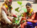 नवदाम्पत्यांच्या हस्ते केले वृक्षारोपण - Marathi News | Plantation done by the Tenderers | Latest dhule News at Lokmat.com