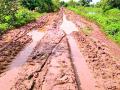 चिखलमय पांदन रस्त्यांमुळे शेतकरी त्रस्त - Marathi News | Farmers suffer due to muddy roads | Latest bhandara News at Lokmat.com