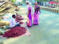 भाविकांना मिरचीचा ठसका - Marathi News | Chili peppers to the devotees | Latest chandrapur News at Lokmat.com