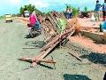 हायवाची बैलगाडीला धडक, युवती ठार - Marathi News | Highway collided with a bullock cart, the woman killed | Latest chandrapur News at Lokmat.com