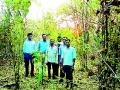 वृक्षपे्रमींच्या मदतीकडे वन विभागाची पाठ - Marathi News | Lessons of forest department to help trees and trees | Latest gadchiroli News at Lokmat.com