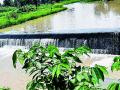 बंधाऱ्यांमुळे शेतकऱ्यांना दिलासा - Marathi News | Dams bring relief to farmers | Latest gadchiroli News at Lokmat.com