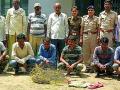 सहा शिकाऱ्यांना अटक - Marathi News | Six hunters arrested | Latest gadchiroli News at Lokmat.com