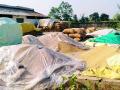 कोट्यवधी रुपयांच्या धानाला केवळ ताडपंत्र्यांचा आधार - Marathi News | Billions of rupees worth of grain is only the basis of tarpaulins | Latest gondia News at Lokmat.com