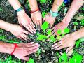तालुक्यात सव्वा आठ लाख वृक्ष लागवडीचे लक्ष्य - Marathi News | Target of planting eight lakh trees in the taluka | Latest gondia News at Lokmat.com