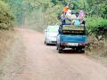 जंगल सफारीकडे पर्यटकांचा कल वाढला - Marathi News | The trend of tourists increased in the jungle safari | Latest gondia News at Lokmat.com