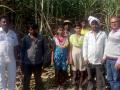 ऊसाच्या फडातील मुले पोहोचली शाळेत - Marathi News | Children of sugarcane are in school | Latest jalana News at Lokmat.com