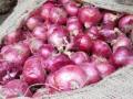 उमराणे बाजार समितीत दुसर्या दिवशीही कांद्याचे लिलाव बंदच - Marathi News | The auction of onions will be closed on the second day in Umrane market committee | Latest nashik News at Lokmat.com