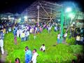 कोथिंबीर मातीमोल - Marathi News |  Cottimburi Matimol | Latest nashik News at Lokmat.com
