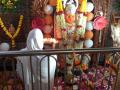 मालेगावी हनुमान जयंती साजरी - Marathi News | Malegaon Hanuman Jayanti celebration | Latest nashik News at Lokmat.com