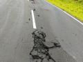 पाल जवळ पडली वीज - Marathi News | Lightning struck near the sail | Latest jalgaon News at Lokmat.com