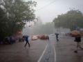तालुक्यात दुबार पेरणीचे संकट टळले - Marathi News | The problem of double sowing was avoided in the taluka | Latest nashik News at Lokmat.com
